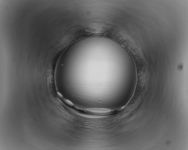X0000097990612200803241343