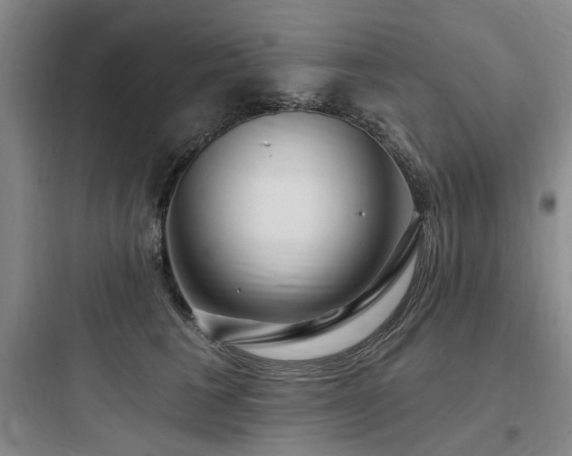 X0000097990613200803241343
