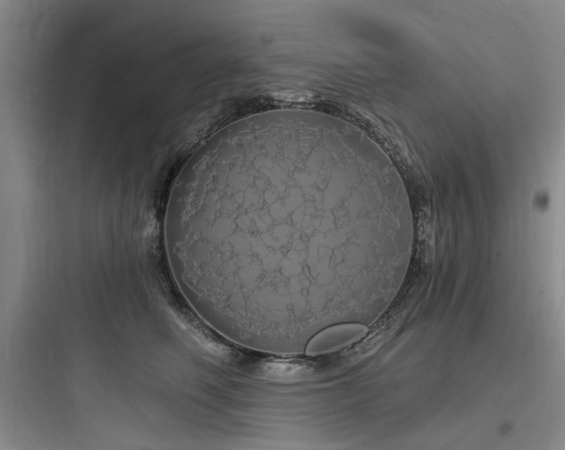 X0000097990614200803241343