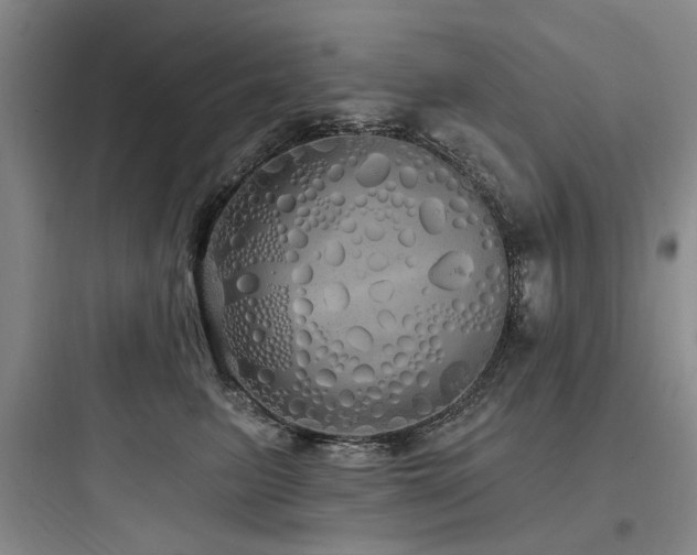 X0000097990615200803241343