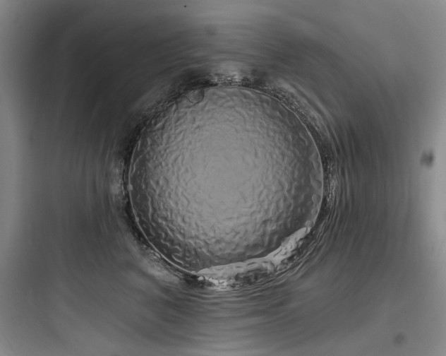 X0000097990616200803241343