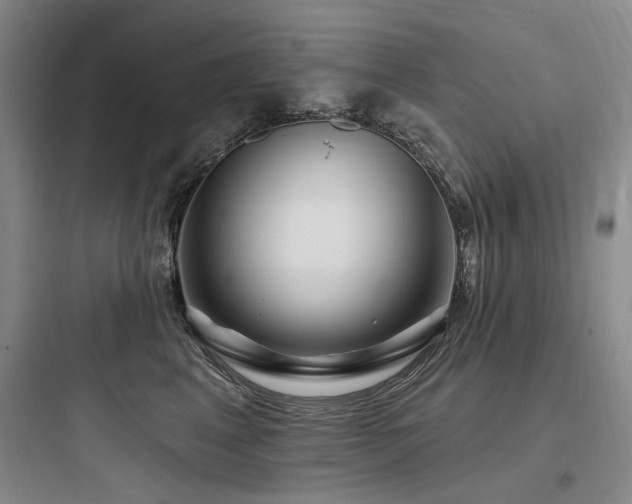 X0000097990617200803241343