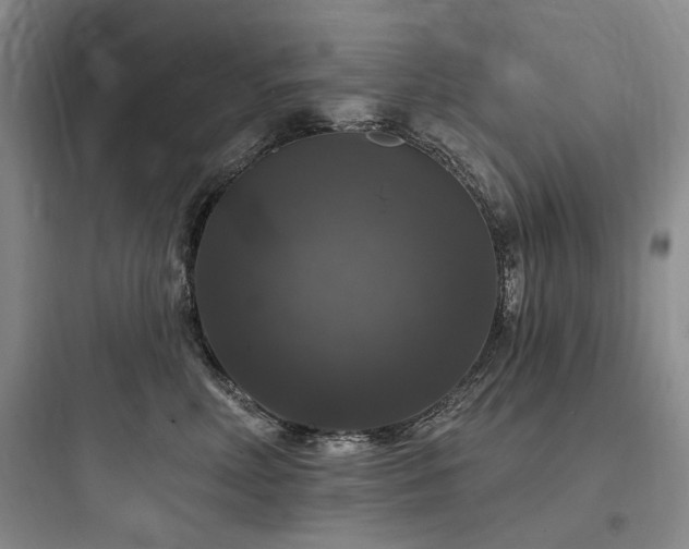 X0000097990618200803241343