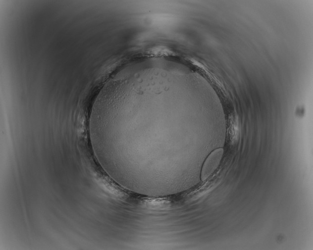 X0000097990619200803241343