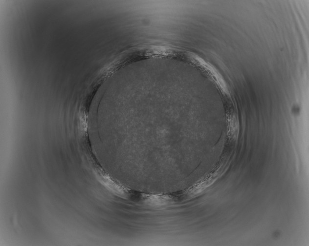 X0000097990621200803241343