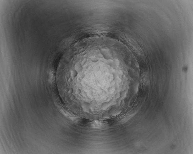 X0000097990623200803241343