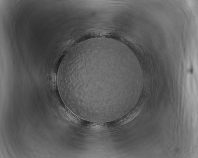 X0000097990624200803241343
