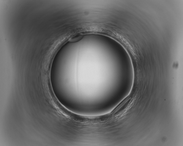 X0000097990625200803241342