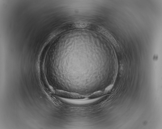 X0000097990626200803241342