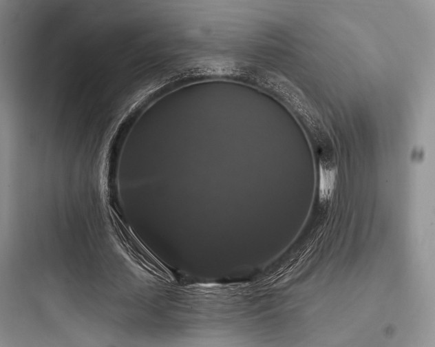X0000097990627200803241342