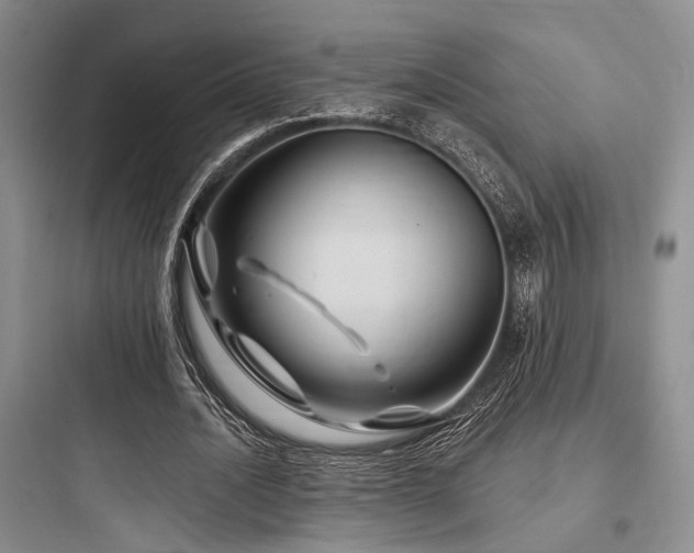 X0000097990628200803241342
