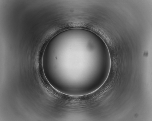 X0000097990631200803241342