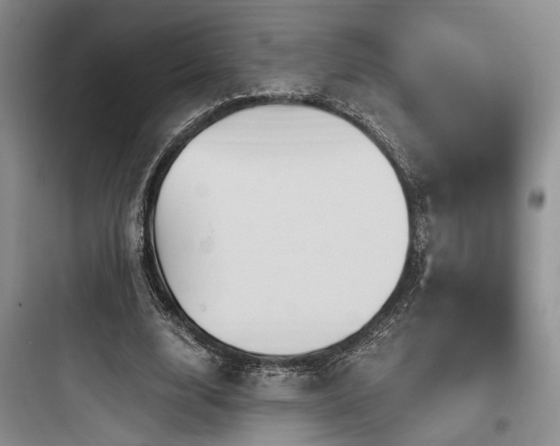 X0000097990632200803241342