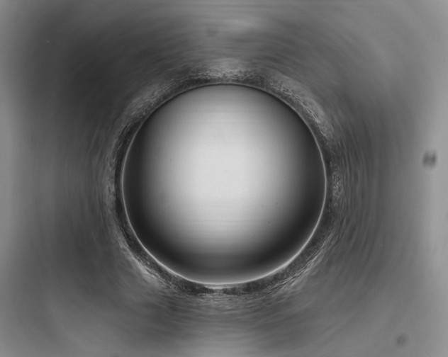 X0000097990633200803241342