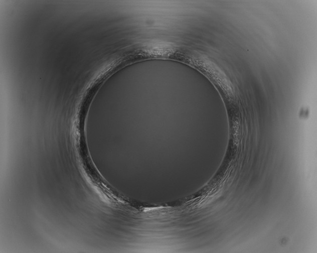X0000097990634200803241342
