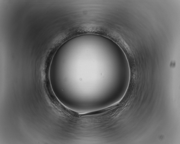 X0000097990635200803241342