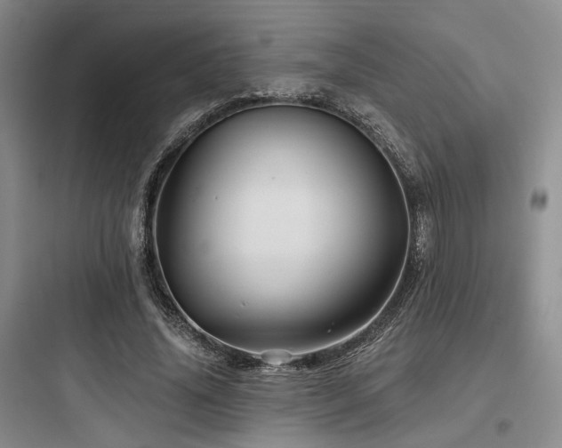 X0000097990636200803241342