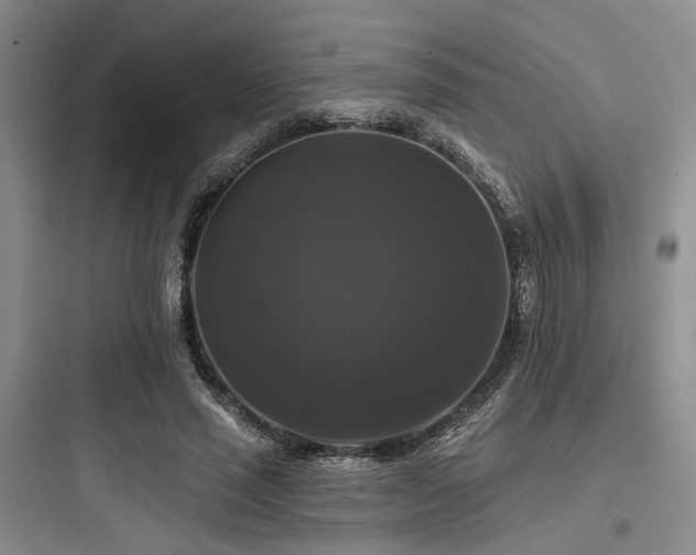 X0000097990637200803241342