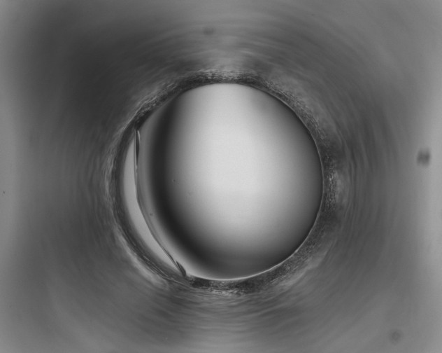 X0000097990638200803241342