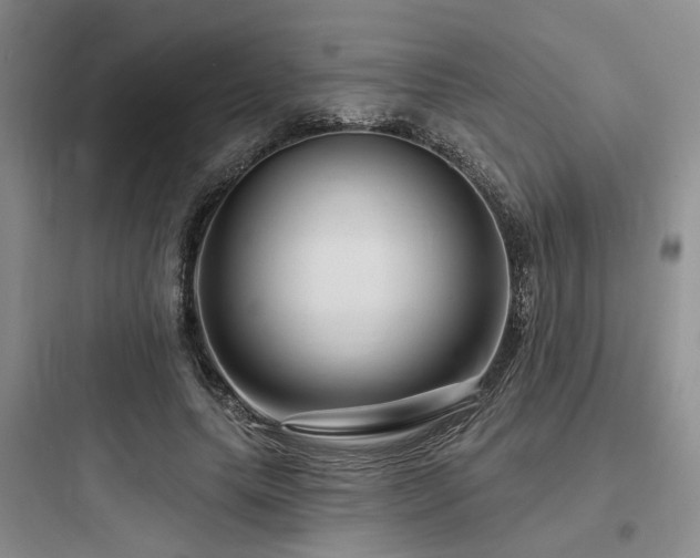 X0000097990639200803241342