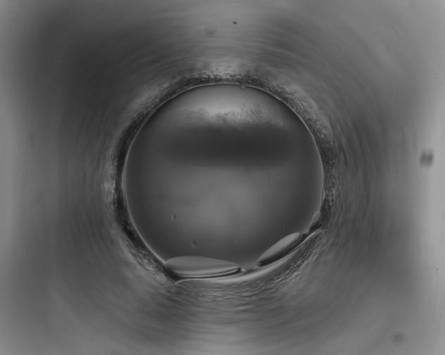X0000097990640200803241342