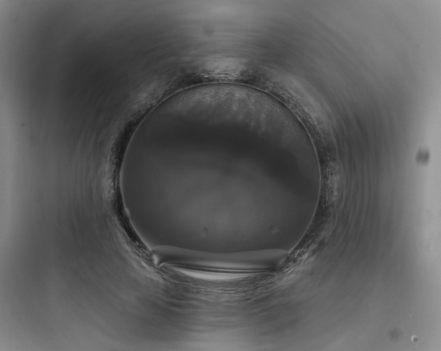 X0000097990641200803241342