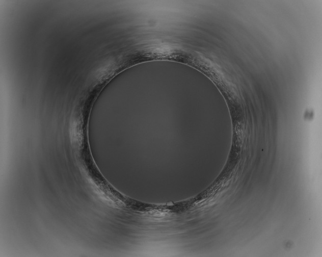 X0000097990642200803241342