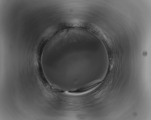 X0000097990643200803241342