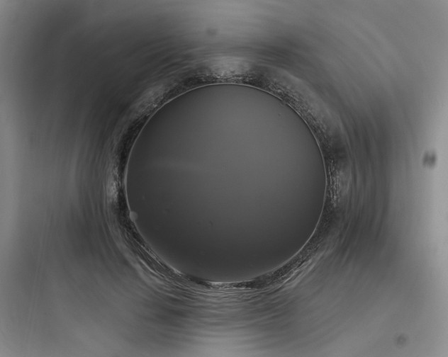X0000097990644200803241342
