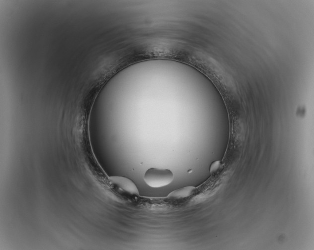 X0000097990645200803241342