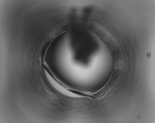 X0000097990646200803241342