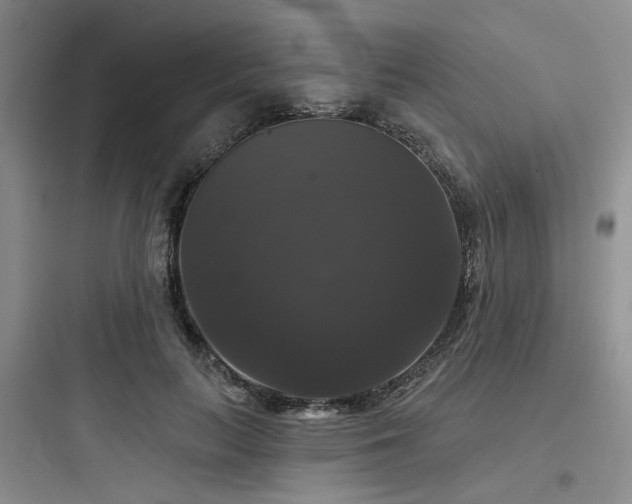 X0000097990647200803241342