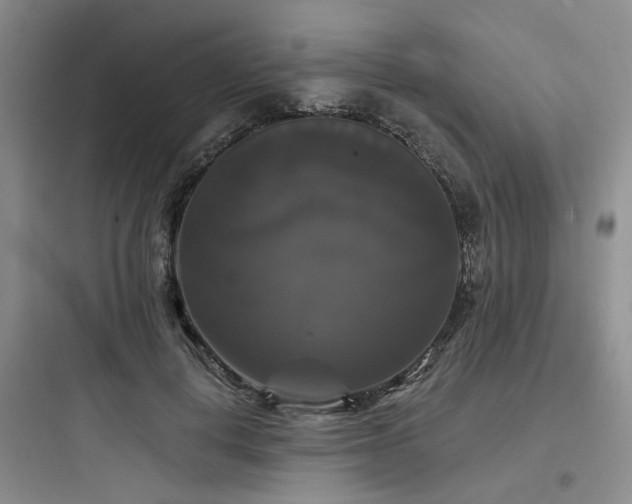X0000097990648200803241342
