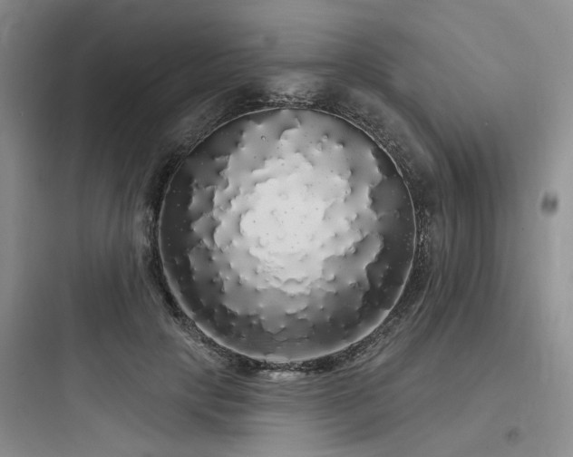 X0000097990649200803241342