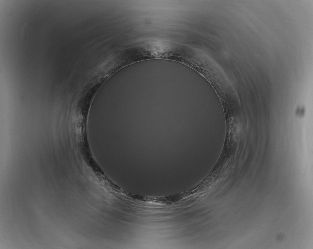 X0000097990650200803241342