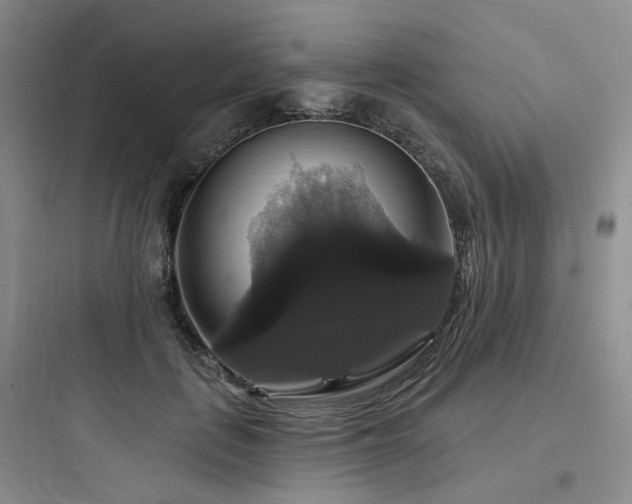 X0000097990651200803241342