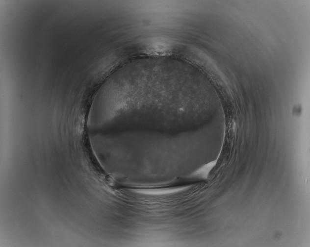 X0000097990652200803241342