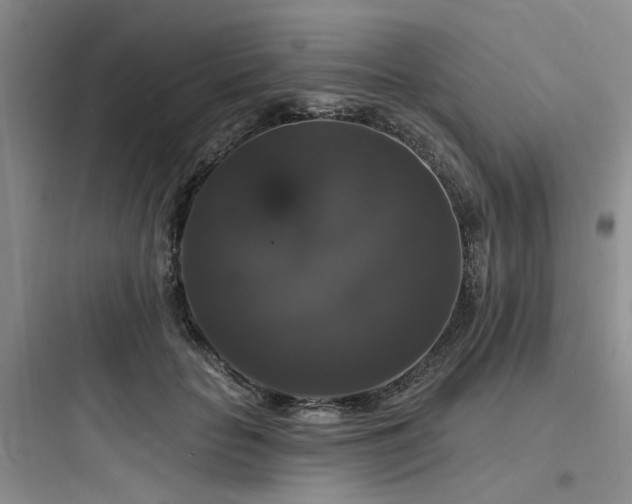 X0000097990653200803241342