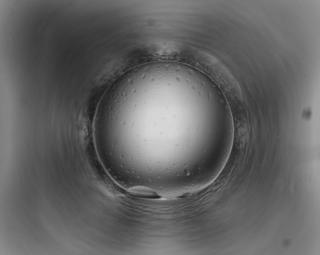 X0000097990654200803241342