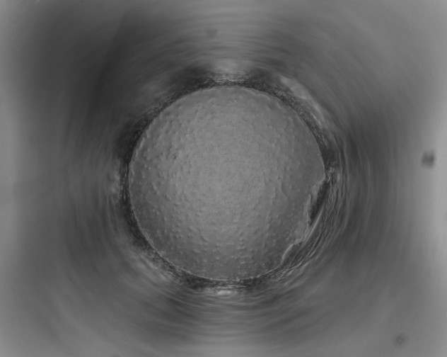 X0000097990655200803241342