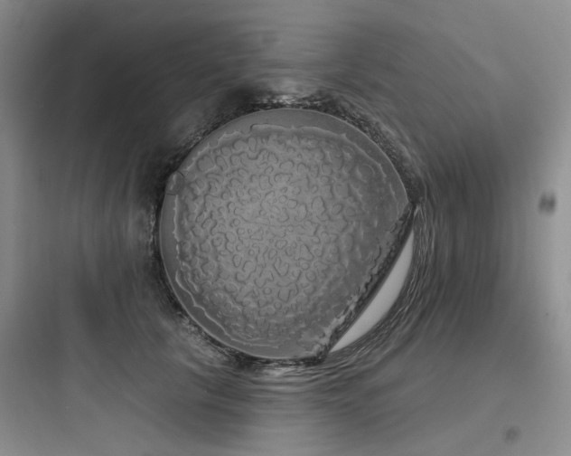 X0000097990657200803241342