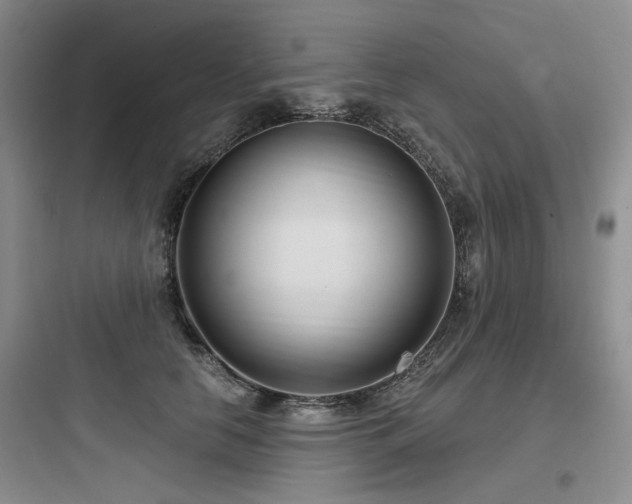 X0000097990658200803241342