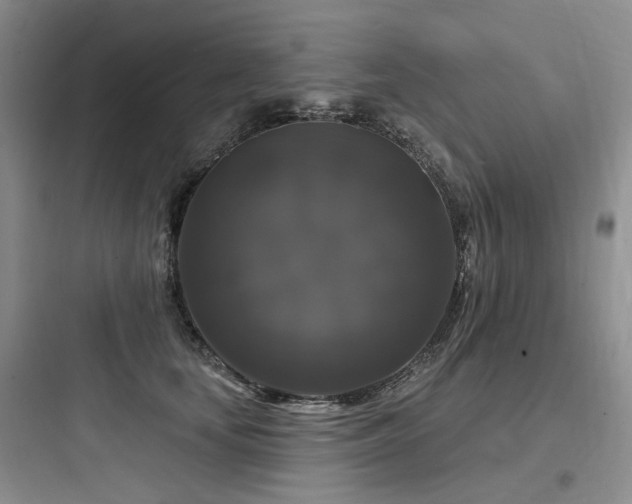X0000097990659200803241342