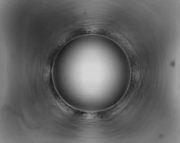 X0000097990660200803241342