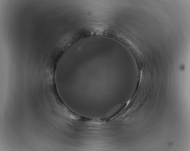 X0000097990661200803241342