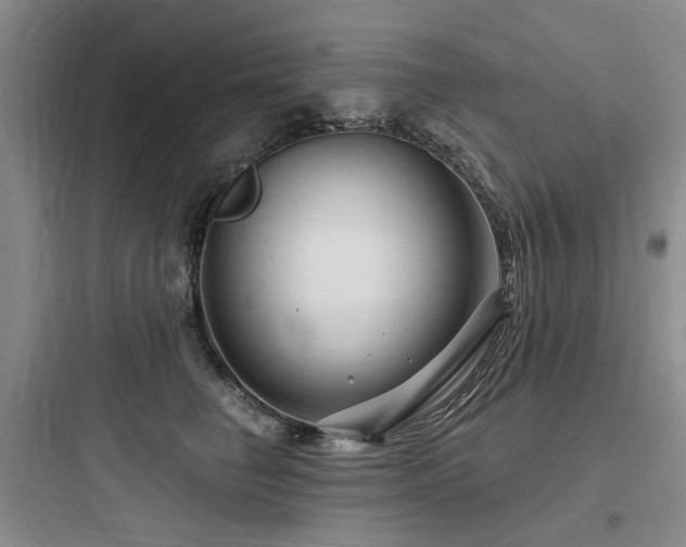 X0000097990662200803241342