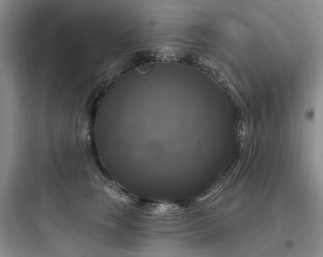 X0000097990663200803241342