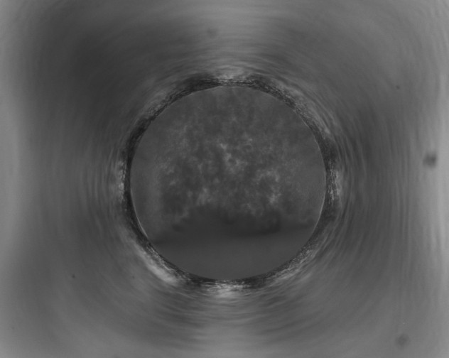 X0000097990664200803241342