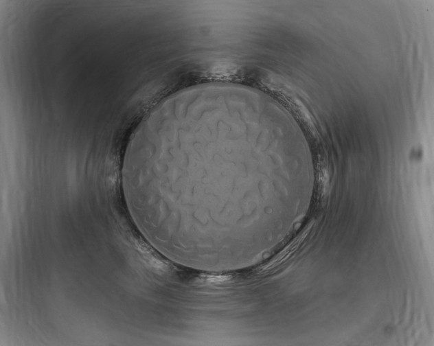 X0000097990665200803241342