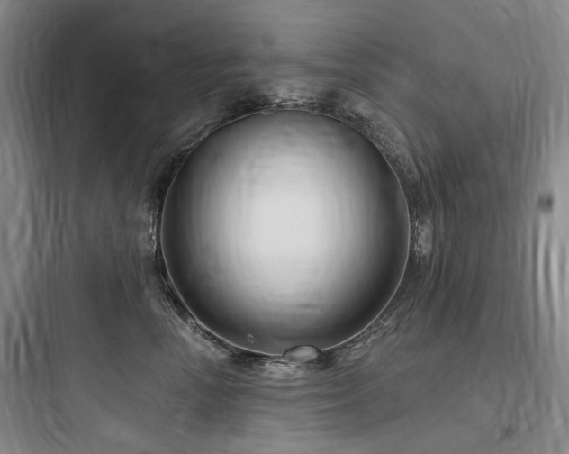 X0000097990666200803241342
